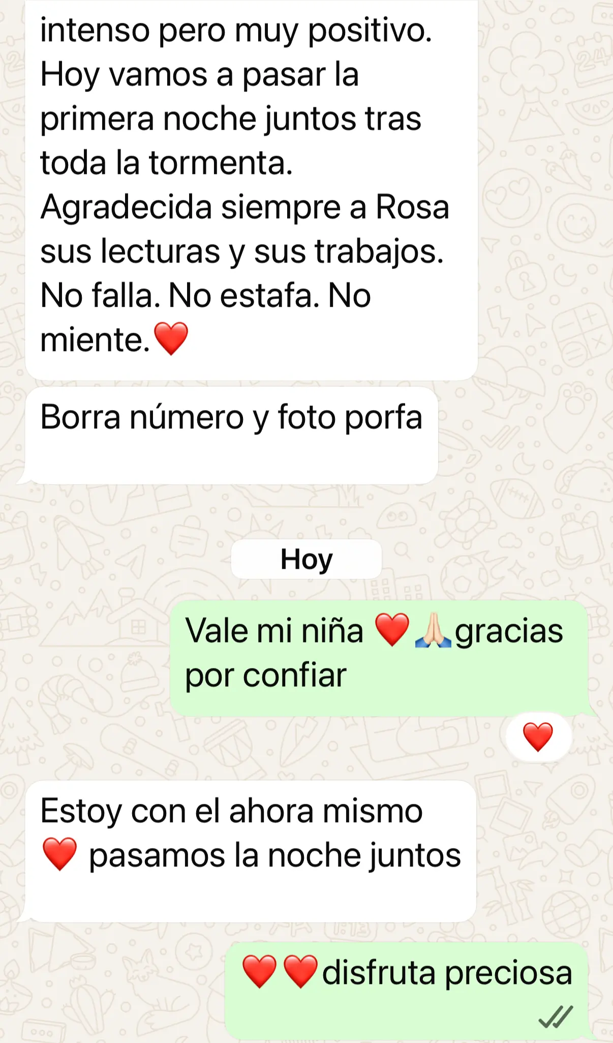Captura de la conversacion de WhatsApp con el mensaje de Mary, sin numero de telefono, sin foto de perfil y sin horas.